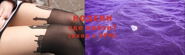гашик Кодинск