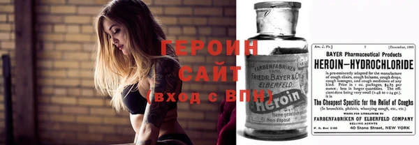 гашик Кодинск
