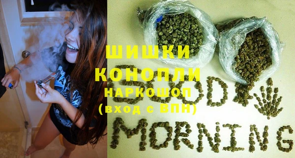 СК Козельск