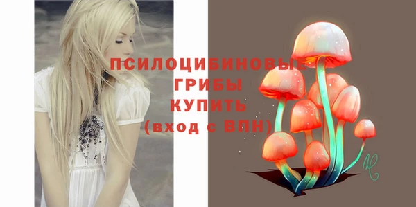 СК Козельск