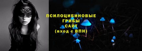 бошки Козловка