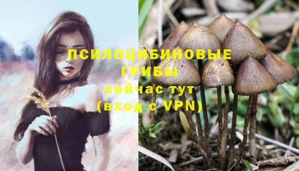 MESCALINE Коряжма