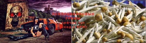 бошки Козловка