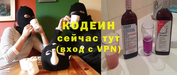 гашик Кодинск