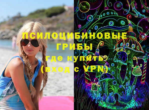 гашик Кодинск