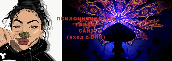 СК Козельск