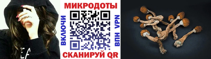 Купить  Сухиничи  Галлюциногенные грибы MAGIC MUSHROOMS 